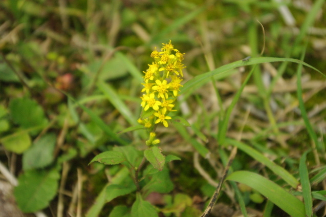 d0341514_20543669.jpg