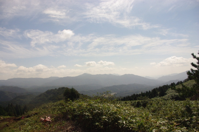 d0341514_20581771.jpg