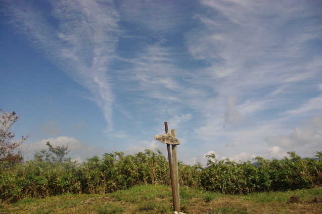 d0341514_20585090.jpg