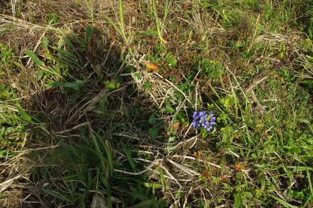 d0341514_20592586.jpg