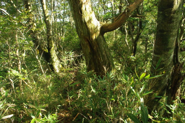 d0341514_21064990.jpg