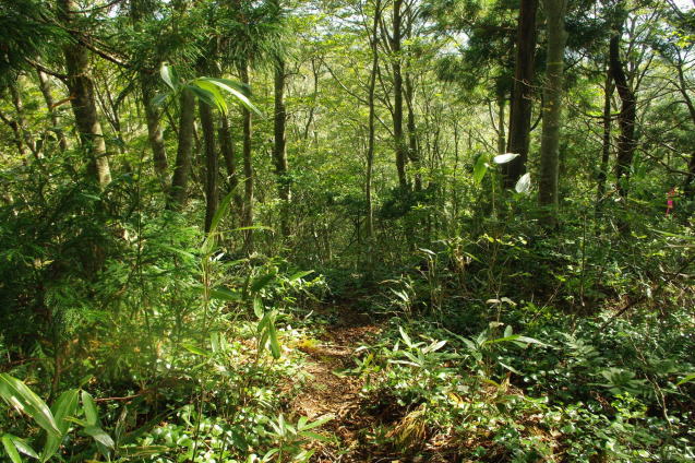 d0341514_21070373.jpg