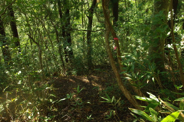 d0341514_21072537.jpg