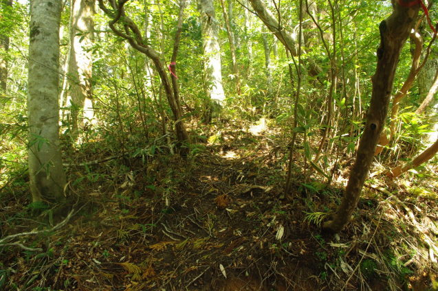 d0341514_21073889.jpg