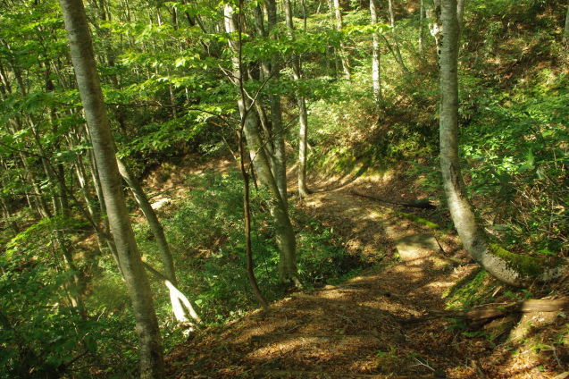d0341514_21075737.jpg