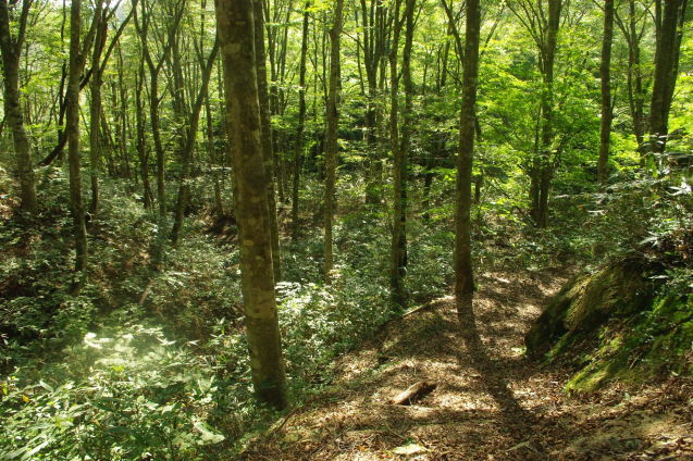 d0341514_21080758.jpg