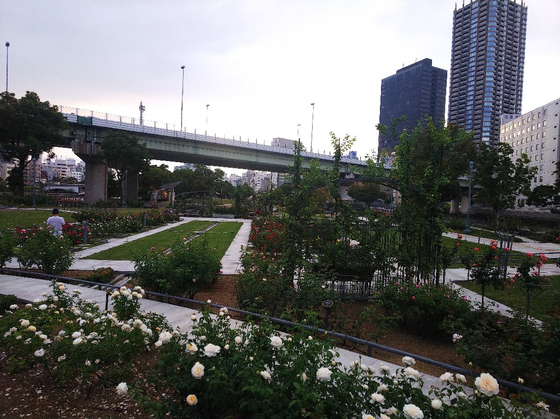 淀屋橋の日の出、朝潮橋の日の入り_a0098418_16501701.jpg