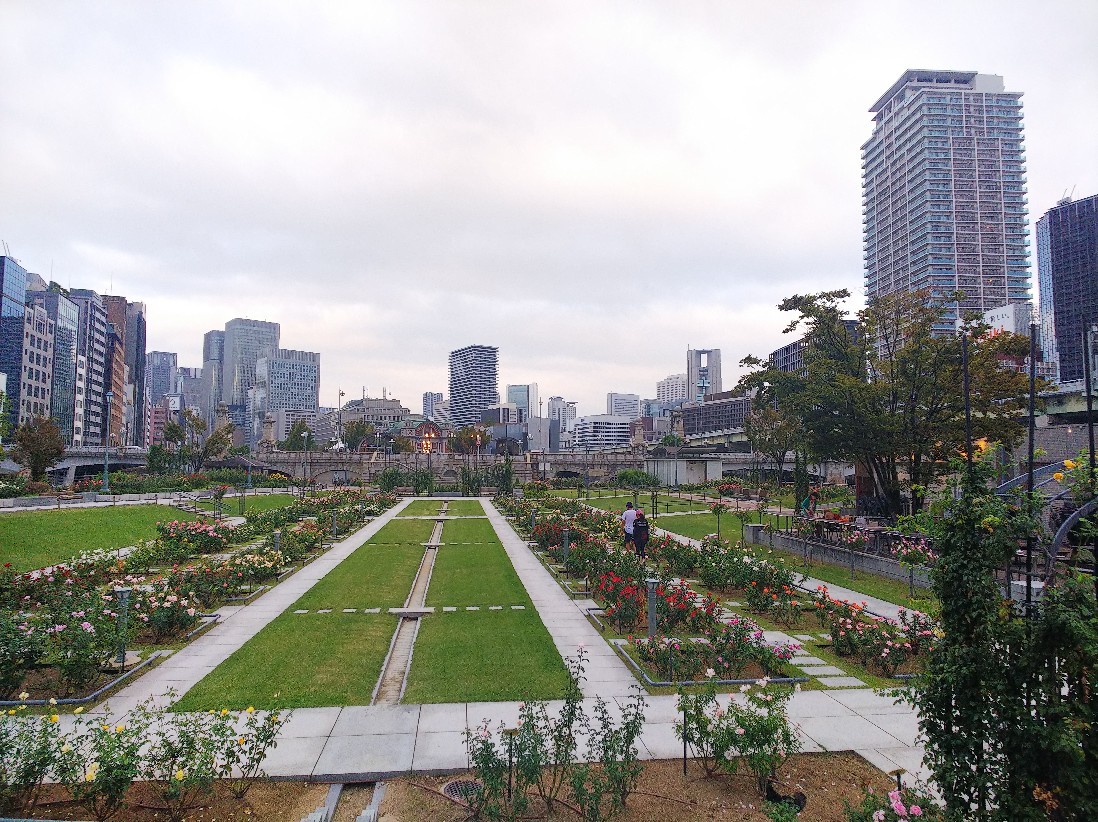 淀屋橋の日の出、朝潮橋の日の入り_a0098418_16501836.jpg