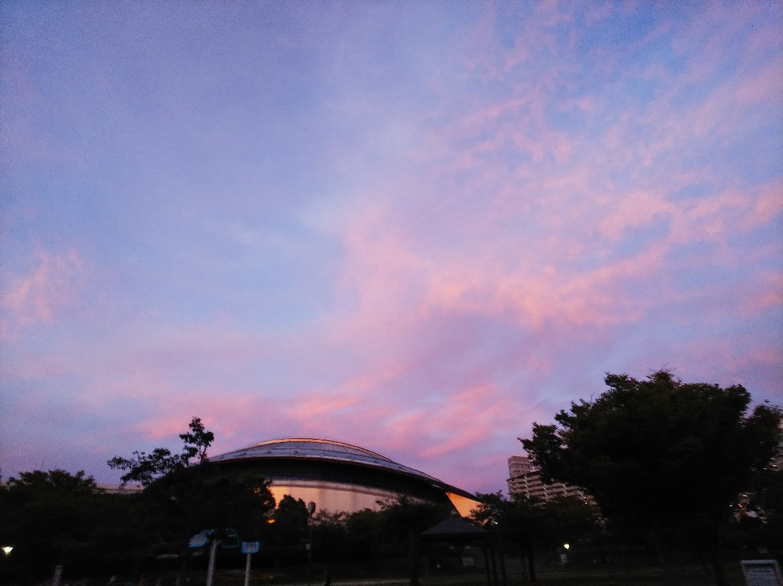 淀屋橋の日の出、朝潮橋の日の入り_a0098418_18544049.jpg