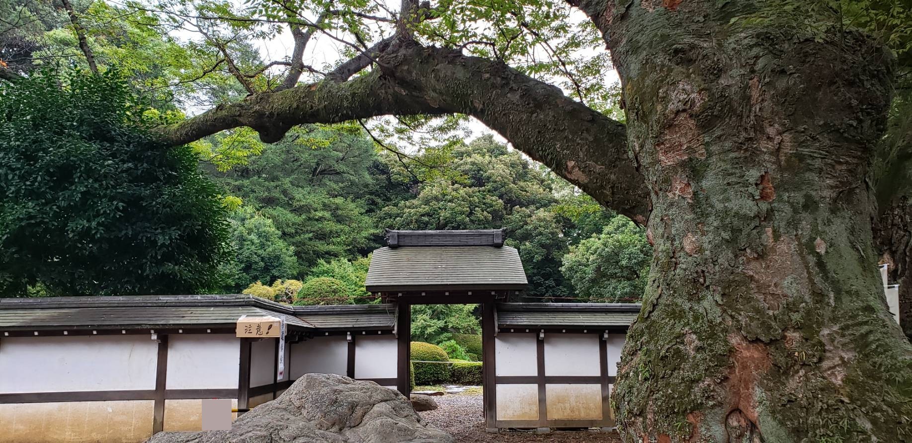 香山園 由 無 事 よねさんな日々