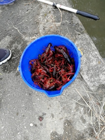 f0340732_17291075.jpg