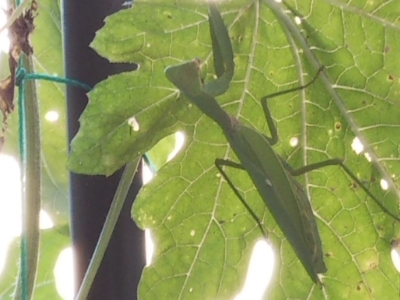 c0330749_16015572.jpg