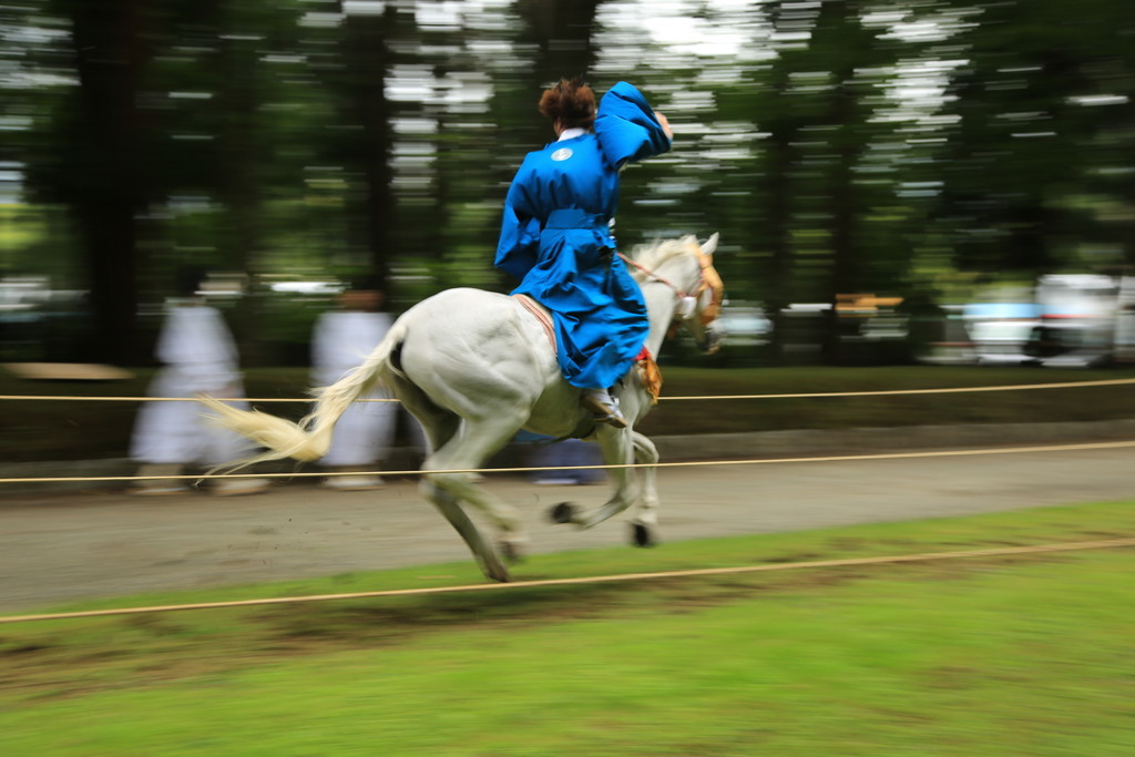 遠野まつり　二日目　遠野南部流鏑馬_c0337257_19523225.jpg