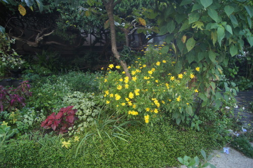 e0181373_21344583.jpg