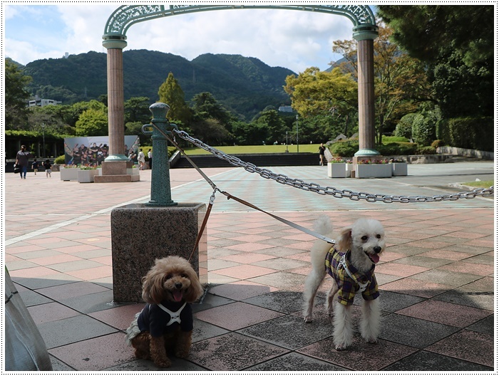 久しぶりに姉を誘って、別府の大きな公園でお散歩、孫ちゃん達も一緒で楽しかったよ～_b0175688_20435362.jpg