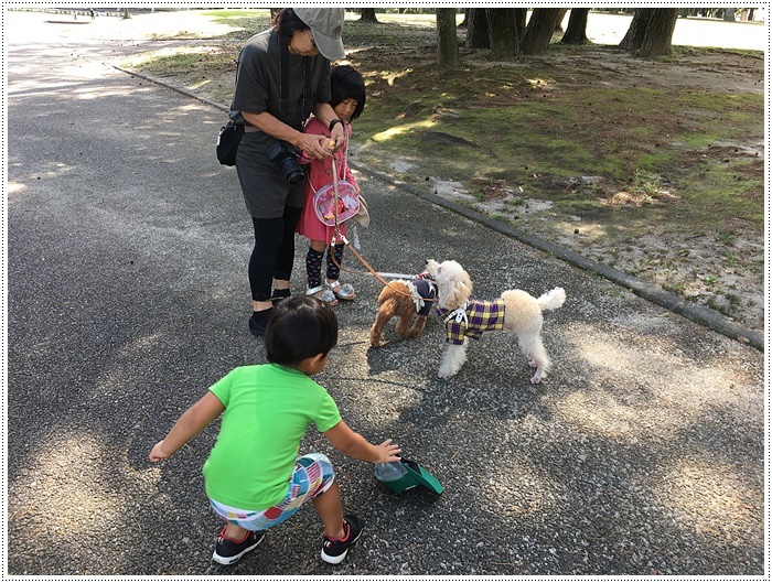 久しぶりに姉を誘って、別府の大きな公園でお散歩、孫ちゃん達も一緒で楽しかったよ～_b0175688_20472373.jpg