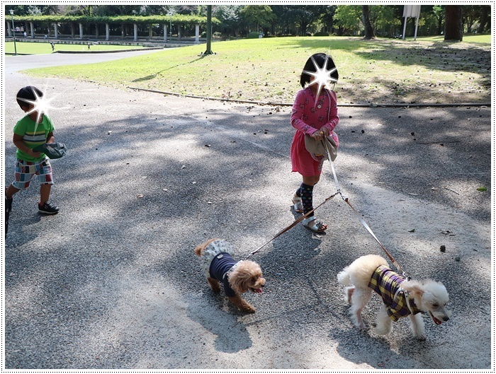 久しぶりに姉を誘って、別府の大きな公園でお散歩、孫ちゃん達も一緒で楽しかったよ～_b0175688_20472983.jpg