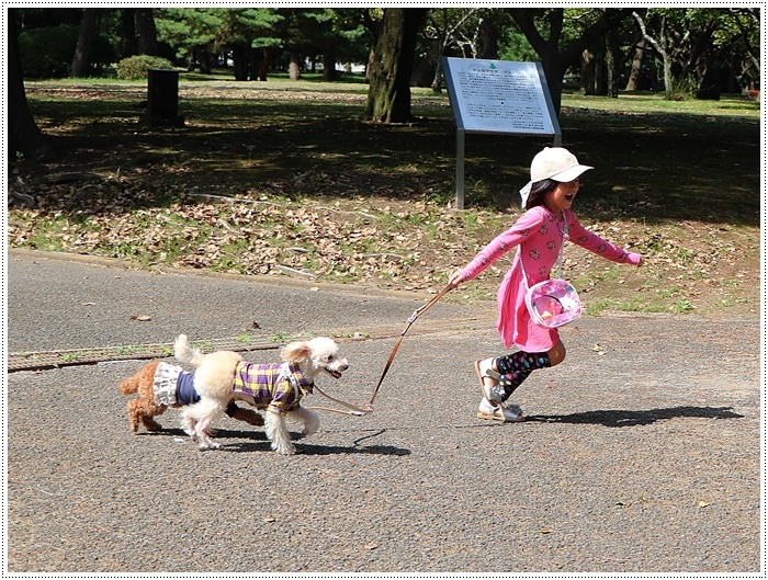 久しぶりに姉を誘って、別府の大きな公園でお散歩、孫ちゃん達も一緒で楽しかったよ～_b0175688_20473317.jpg