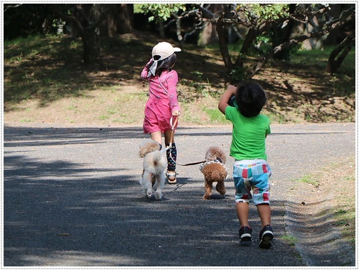 久しぶりに姉を誘って、別府の大きな公園でお散歩、孫ちゃん達も一緒で楽しかったよ～_b0175688_20474928.jpg