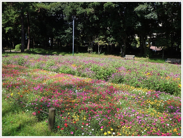 久しぶりに姉を誘って、別府の大きな公園でお散歩、孫ちゃん達も一緒で楽しかったよ～_b0175688_20493706.jpg