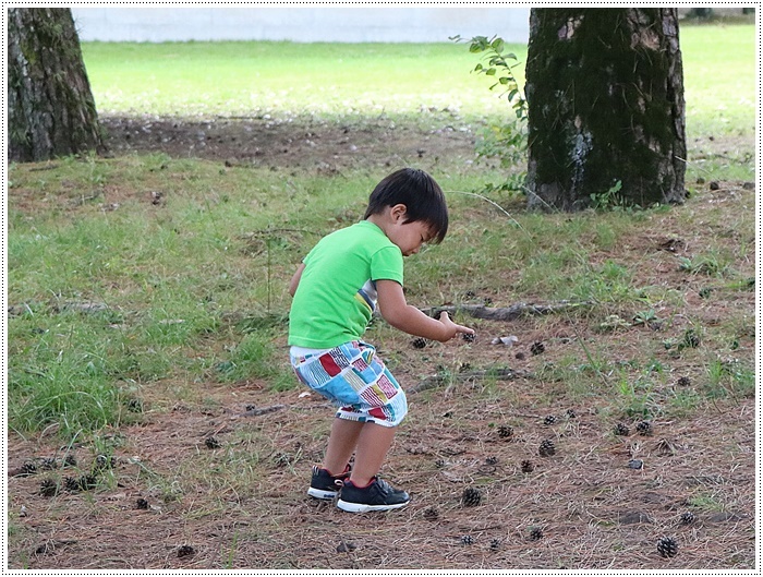 久しぶりに姉を誘って、別府の大きな公園でお散歩、孫ちゃん達も一緒で楽しかったよ～_b0175688_20494023.jpg