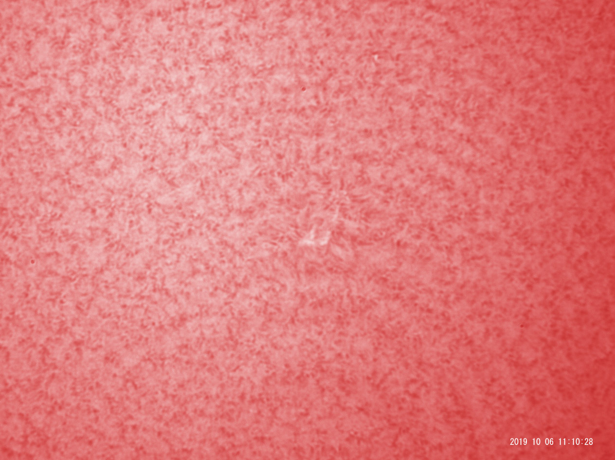 10月6日の太陽_e0174091_12251086.jpg