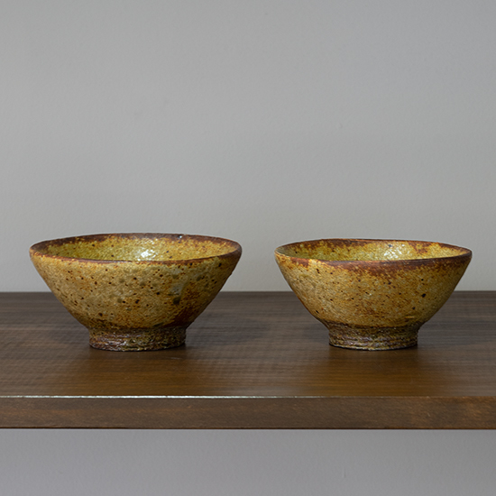 馬渡新平展」2日目 : ツチノキオク日々