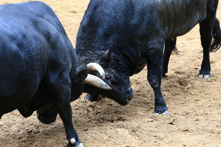 b0016600_12463744.jpg