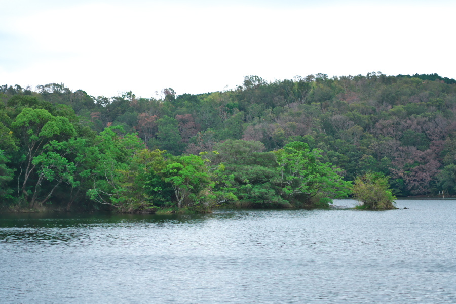 a0263109_19333514.jpg