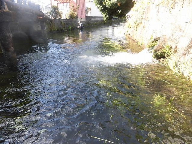 f0141310_07532304.jpg