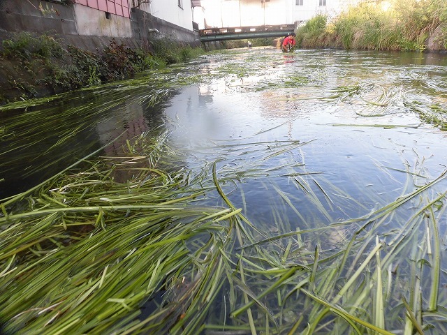 f0141310_07533570.jpg