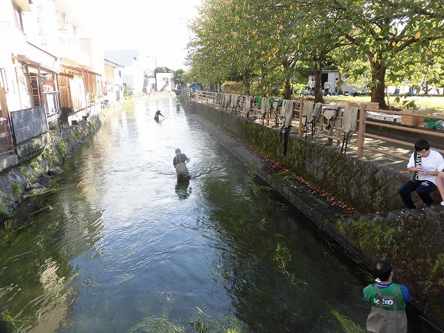 f0141310_07540571.jpg