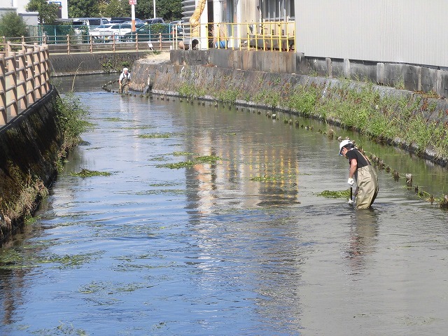 14～15℃の水温が、胴長を通じて気持ちいい！　今年4回目の田宿川の川そうじ_f0141310_07541201.jpg