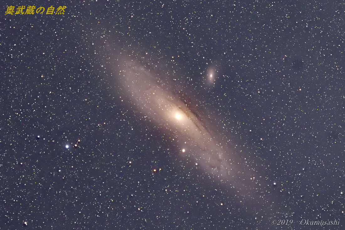アンドロメダ銀河 奥武蔵の自然