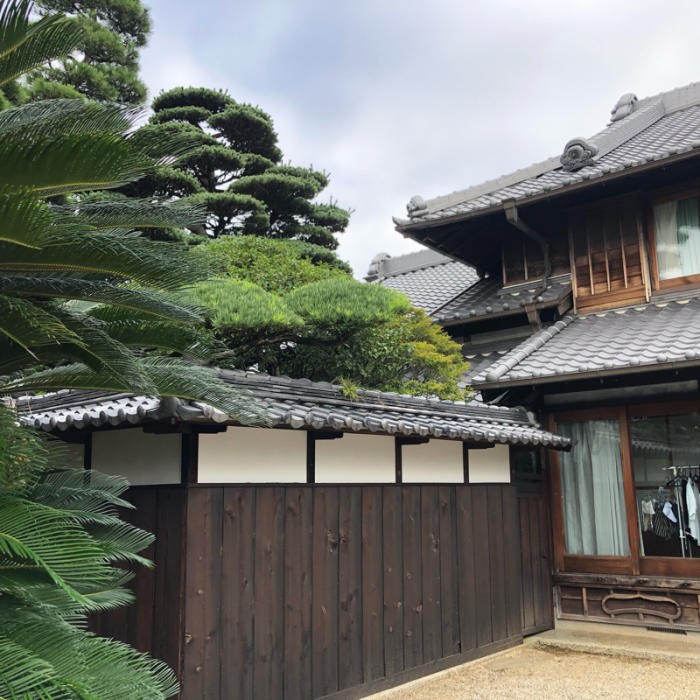 初代会長藤井さん宅に : □ サムライ オーキッド □ 富貴蘭 セレクト