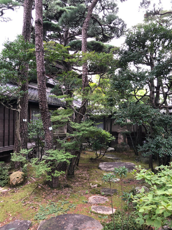 初代会長藤井さん宅に : □ サムライ オーキッド □ 富貴蘭 セレクト