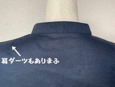 ギャザーブラウスは完成した!しかし・・・_f0251618_22060953.jpg
