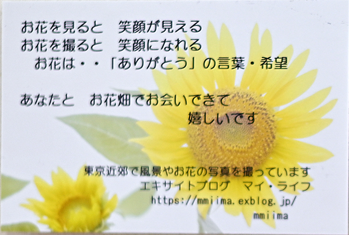 マイ・ライフさんのお花畑_d0265224_19220582.jpg