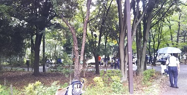 林試の森公園_a0108328_15480383.jpg