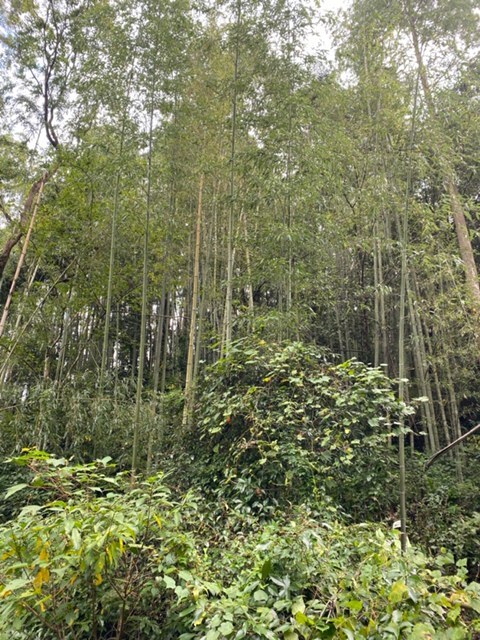 c0280729_15593701.jpg