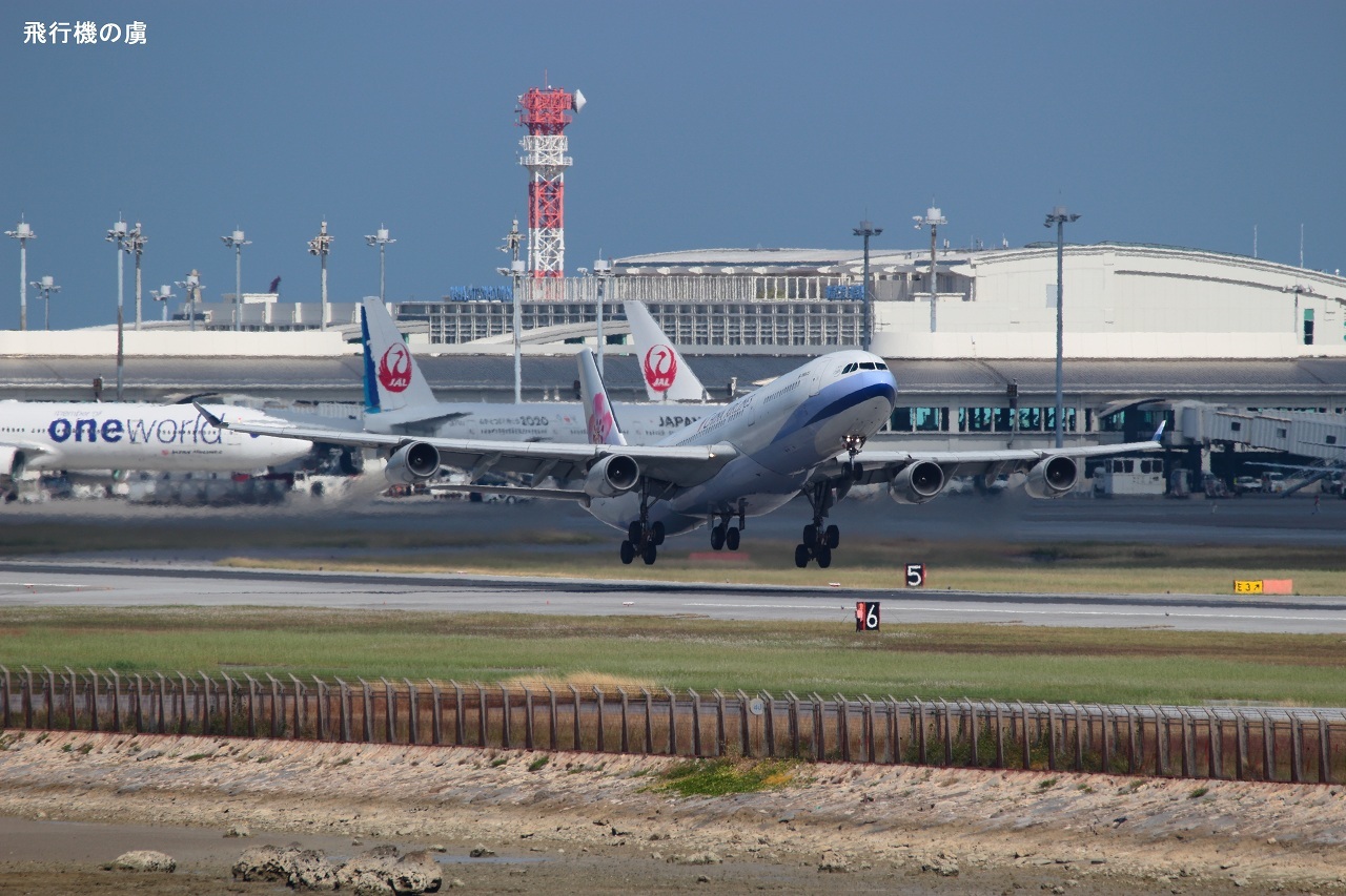 ポイントは梅の花 A340 チャイナエアライン(CI)_b0313338_00263515.jpg