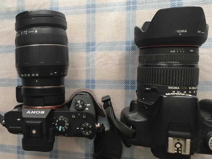 フルサイズデジタルと古い非デジタル専用高倍率ズームレンズ_b0060239_15362171.jpeg