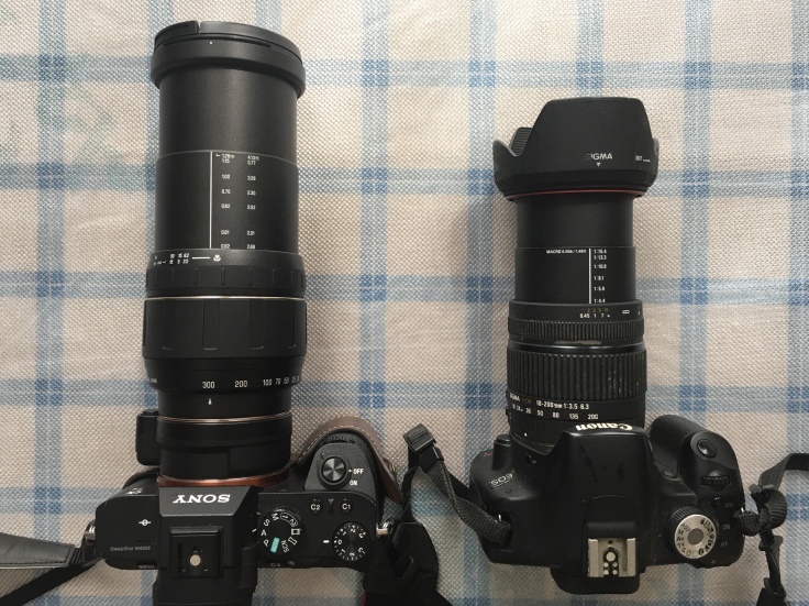 Field Lens #2 - TAMRON AF 28-300mm f3.5-6.3 ASPHERICAL LD (IF) MACRO (model 185D)_b0060239_19230318.jpeg