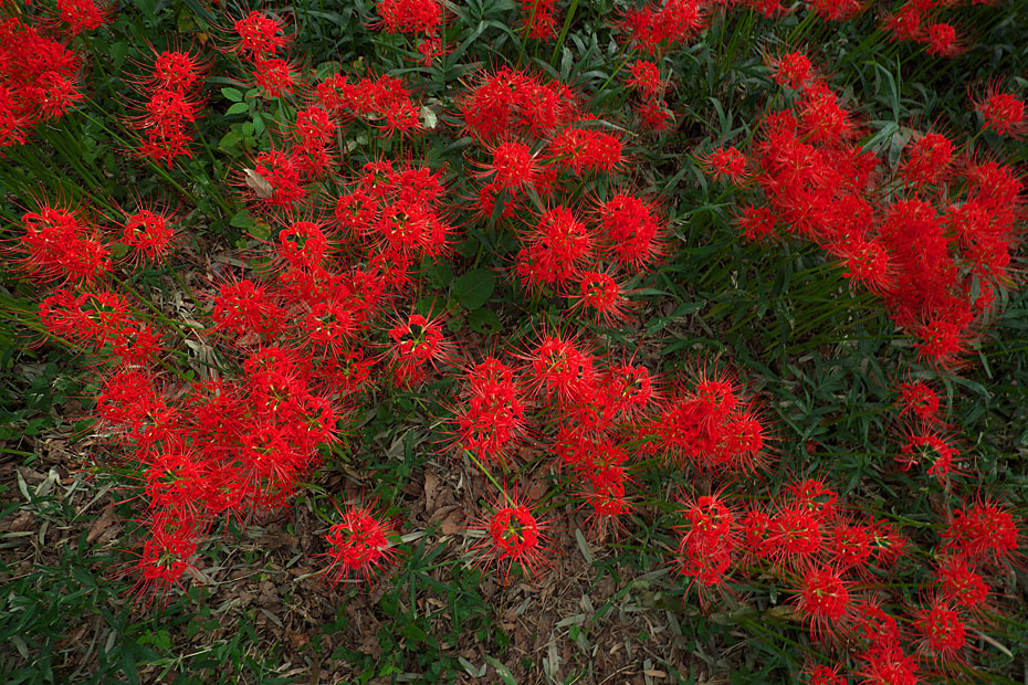 c0067040_22503815.jpg
