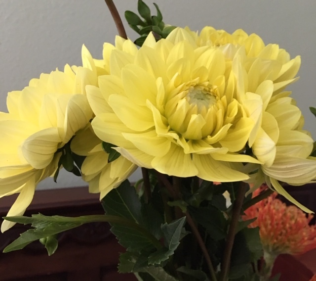 OC Wholesale Flowers の花に圧倒される_e0350971_08072931.jpg