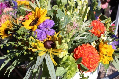 Farm Day in the City その2_c0353373_21161391.jpg