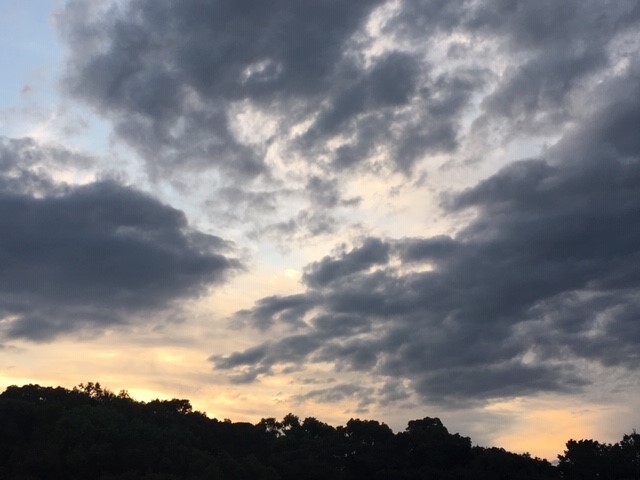 c0344679_05154171.jpg