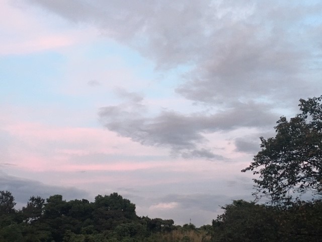 c0344679_05173495.jpg