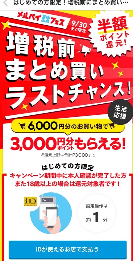 買い物大好き♪ キャッシュレス決済活用していますか?_e0237680_11081892.jpg