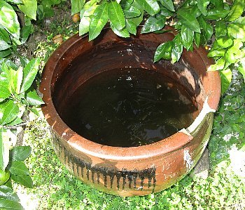 f0003283_08111566.jpg